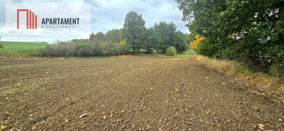 Działka w zielonej okolicy  3000 m - Goszyn  -
Pomorskie Zdjęcie nr 3