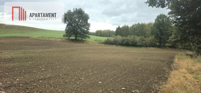 Działka w zielonej okolicy  3000 m - Goszyn  -
Pomorskie Zdjęcie nr 4