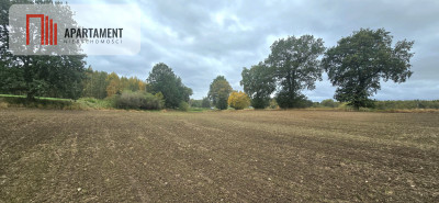 Działka w zielonej okolicy  3000 m - Goszyn  -
Pomorskie Zdjęcie nr 7