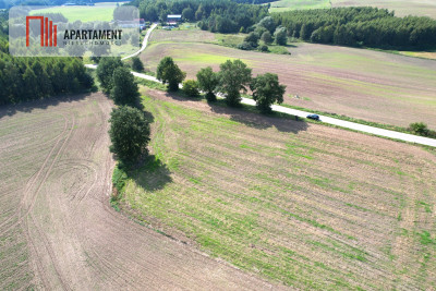 Działka w zielonej okolicy  3000 m - Goszyn  -
Pomorskie Zdjęcie nr 8