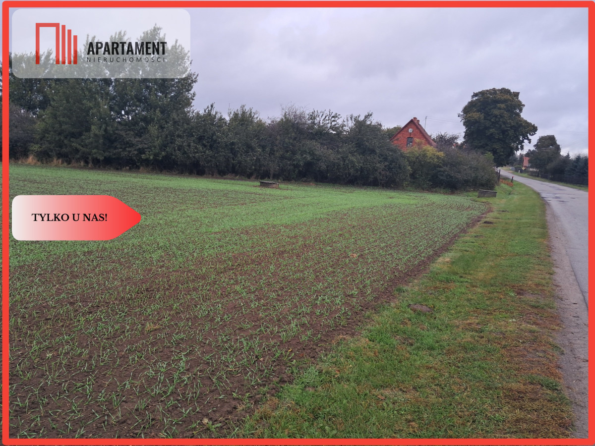 Duża działka w Jadownikach Rycerskich - Jadowniki Rycerskie  -
Kujawsko-Pomorskie Zdjęcie nr 1