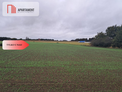 Duża działka w Jadownikach Rycerskich - Jadowniki Rycerskie  -
Kujawsko-Pomorskie Zdjęcie nr 3