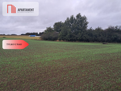 Duża działka w Jadownikach Rycerskich - Jadowniki Rycerskie  -
Kujawsko-Pomorskie Zdjęcie nr 6