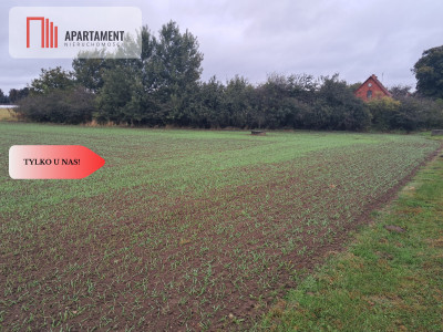 Duża działka w Jadownikach Rycerskich - Jadowniki Rycerskie  -
Kujawsko-Pomorskie Zdjęcie nr 7