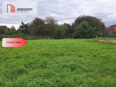 Działka budowlanamediaprojekt domu - Pysząca  -
Dolnośląskie Zdjęcie nr 5