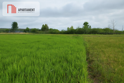 działka budowlana  Wola Kamieńska k Iławy - Wola Kamieńska  -
Warmińsko-Mazurskie Zdjęcie nr 3