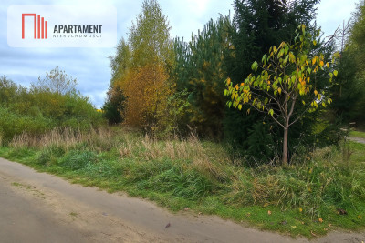 Działka 3039 m w Siwiałce las jezioro w okolicy - Siwiałka  - Pomorskie