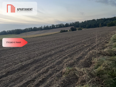 Działki z WZ - Zielonczyn - Zielonczyn  -
Kujawsko-Pomorskie Zdjęcie nr 2