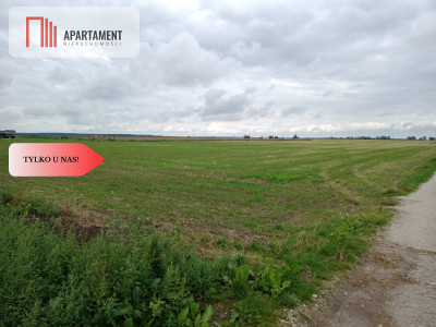 Działki z WZ - Zielonczyn - Zielonczyn  -
Kujawsko-Pomorskie Zdjęcie nr 3