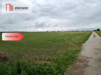 Działki z WZ - Zielonczyn - Zielonczyn  -
Kujawsko-Pomorskie Zdjęcie nr 4