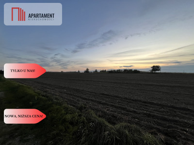 Działki z WZ - Zielonczyn - Zielonczyn  -
Kujawsko-Pomorskie Zdjęcie nr 7