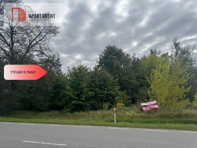 Okazja Działka budowlana  40 minut od Łodzi - Szadek  -
Łódzkie Zdjęcie nr 4