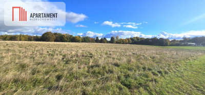 Działki budowlane w Gołębiewie Wielkim - Gołębiewo Wielkie  -
Pomorskie Zdjęcie nr 2