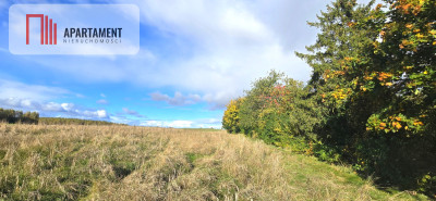 Działki budowlane w Gołębiewie Wielkim - Gołębiewo Wielkie  -
Pomorskie Zdjęcie nr 5