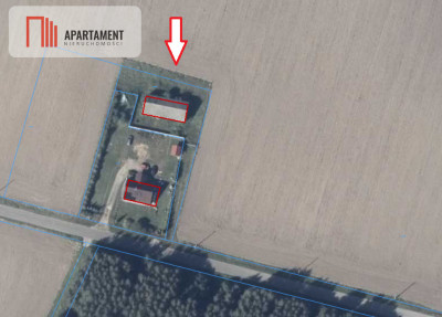 Działka rolna zabudowana    Babięty Wielkie - Babięty Wielkie  -
Warmińsko-Mazurskie Zdjęcie nr 6