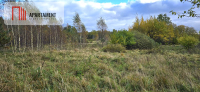Malownicze działki budowlane  Mierzeszyn - Mierzeszyn  -
Pomorskie Zdjęcie nr 2