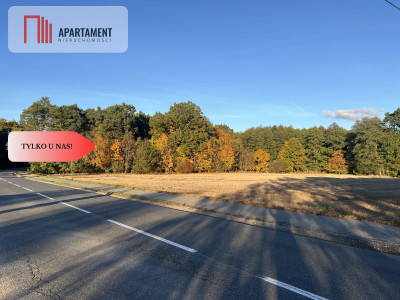 Atrakcyjna działka budowlana w Jagodowie - Jagodowo  -
Kujawsko-Pomorskie Zdjęcie nr 2