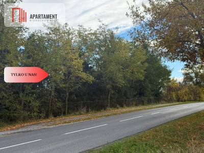 Atrakcyjna działka budowlana w Jagodowie - Jagodowo  -
Kujawsko-Pomorskie Zdjęcie nr 6