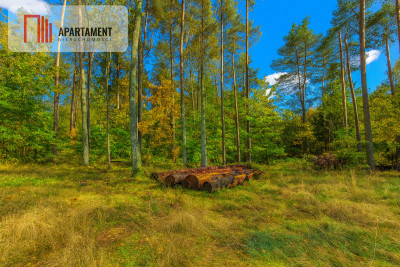 Objęta mpzp w otoczeniu lasu - Chwaszczyno  -
Pomorskie Zdjęcie nr 2