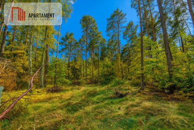 Objęta mpzp w otoczeniu lasu - Chwaszczyno  -
Pomorskie Zdjęcie nr 3