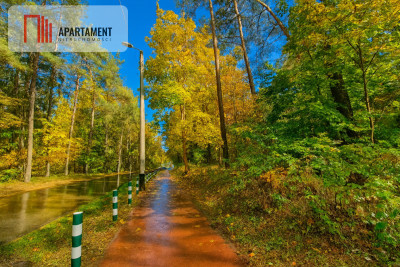 Objęta mpzp w otoczeniu lasu - Chwaszczyno  -
Pomorskie Zdjęcie nr 4