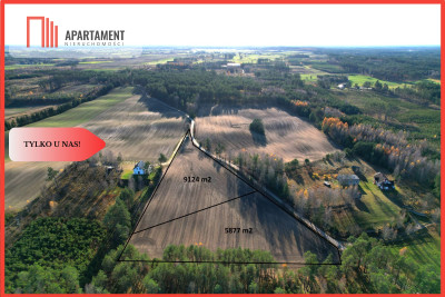 Tylko u Nas Działka budowlana w otoczeniu lasów - Małe Chełmy  - Pomorskie