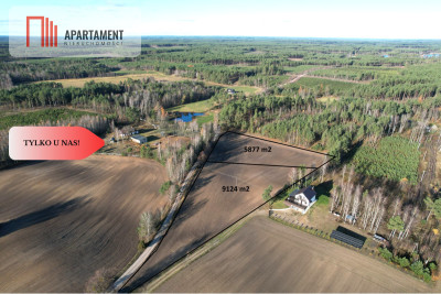 Tylko u Nas Działka budowlana w otoczeniu lasów - Małe Chełmy  -
Pomorskie Zdjęcie nr 3