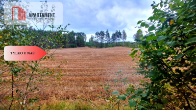 Tylko u Nas Działka budowlana w otoczeniu lasów - Małe Chełmy  -
Pomorskie Zdjęcie nr 5