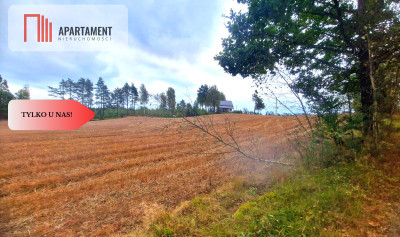 Tylko u Nas Działka budowlana w otoczeniu lasów - Małe Chełmy  -
Pomorskie Zdjęcie nr 6