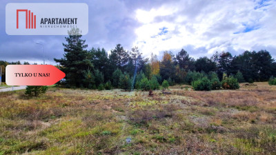 Tylko u Nas Działka usługowa w świetnej cenie - Gutowiec  -
Pomorskie Zdjęcie nr 3