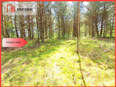 Działka nad jeziorem Z warunkami zabudowy - Trzebciny  -
Kujawsko-Pomorskie Zdjęcie nr 10