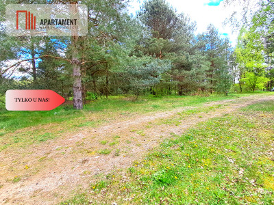 Działka nad jeziorem Z warunkami zabudowy - Trzebciny  -
Kujawsko-Pomorskie Zdjęcie nr 13