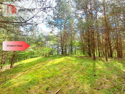 Działka nad jeziorem Z warunkami zabudowy - Trzebciny  -
Kujawsko-Pomorskie Zdjęcie nr 9