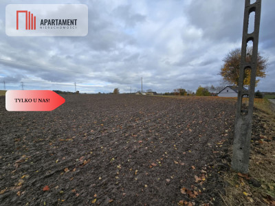 Działka budowlana z Warunkami zabudowy Smarzewo - Smarzewo  -
Pomorskie Zdjęcie nr 8