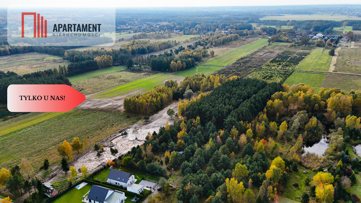 Działka z własnym lasem pod Łodzią - Rydzyny  -
Łódzkie Zdjęcie nr 1