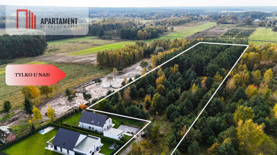 Działka z własnym lasem pod Łodzią - Rydzyny  -
Łódzkie Zdjęcie nr 2