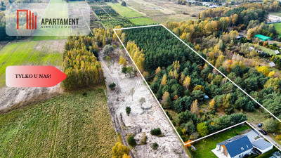 Działka z własnym lasem pod Łodzią - Rydzyny  -
Łódzkie Zdjęcie nr 3