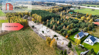 Działka z własnym lasem pod Łodzią - Rydzyny  -
Łódzkie Zdjęcie nr 8