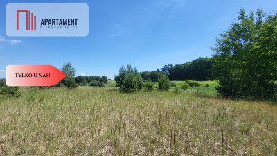Działki z WZ - świetna lokalizacja natura jezioro - Trzemiętowo  -
Kujawsko-Pomorskie Zdjęcie nr 6
