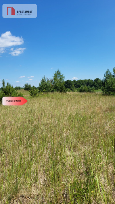 Działki z WZ - świetna lokalizacja natura jezioro - Trzemiętowo  -
Kujawsko-Pomorskie Zdjęcie nr 7