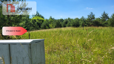 Działki z WZ - świetna lokalizacja natura jezioro - Trzemiętowo  -
Kujawsko-Pomorskie Zdjęcie nr 8