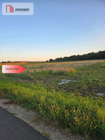 Działka pod inwestycję - Zachowice  -
Dolnośląskie Zdjęcie nr 2