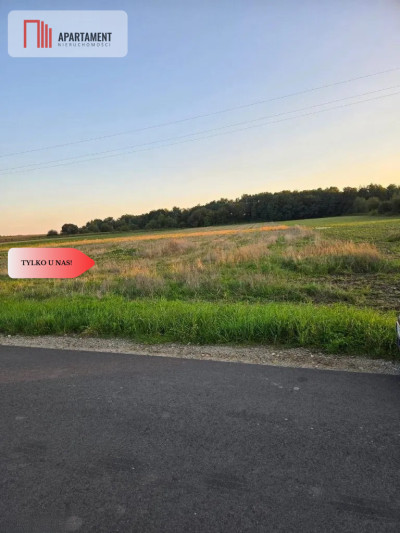 Działka pod inwestycję - Zachowice  -
Dolnośląskie Zdjęcie nr 3