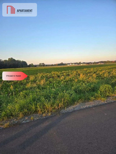 Działka pod inwestycję - Zachowice  -
Dolnośląskie Zdjęcie nr 4