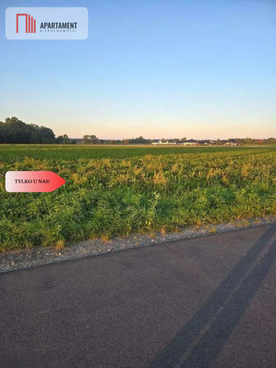 Działka pod inwestycję - Zachowice  -
Dolnośląskie Zdjęcie nr 5