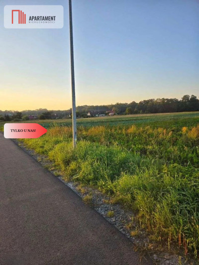 Działka pod inwestycję - Zachowice  -
Dolnośląskie Zdjęcie nr 7