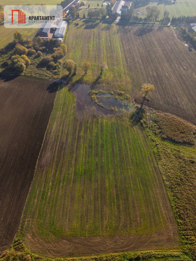 DZIAŁKA INWESTYCYJNA 4 HA  KAMIEŃ DUŻY - Kamień Duży  -
Warmińsko-Mazurskie Zdjęcie nr 2