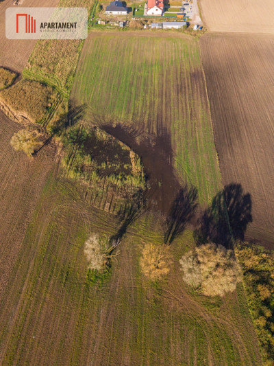 DZIAŁKA INWESTYCYJNA 4 HA  KAMIEŃ DUŻY - Kamień Duży  -
Warmińsko-Mazurskie Zdjęcie nr 3