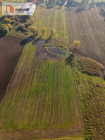 DZIAŁKA INWESTYCYJNA 4 HA  KAMIEŃ DUŻY - Kamień Duży  -
Warmińsko-Mazurskie Zdjęcie nr 4