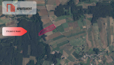 PIĘKNE SIEDLISKO Dom Staw Las DO NEGOCJACJI - Nowy Buczek  -
Wielkopolskie Zdjęcie nr 7